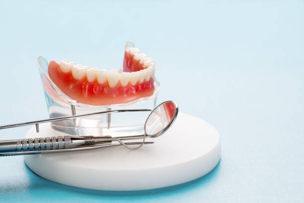 Best General Dentistry  in Fruit Cove, FL